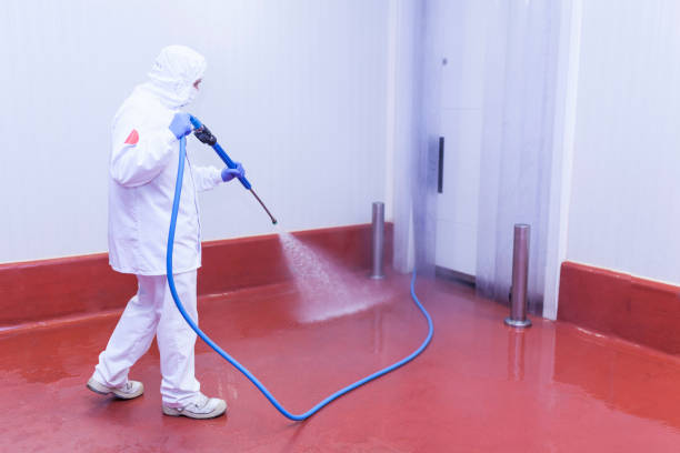 Best Driveway Pressure Washing  in Fairhope, PA